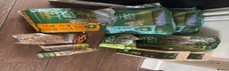 Mini Lop rabbits for sale: Beautiful mini lop male rabbit  - Advert 7