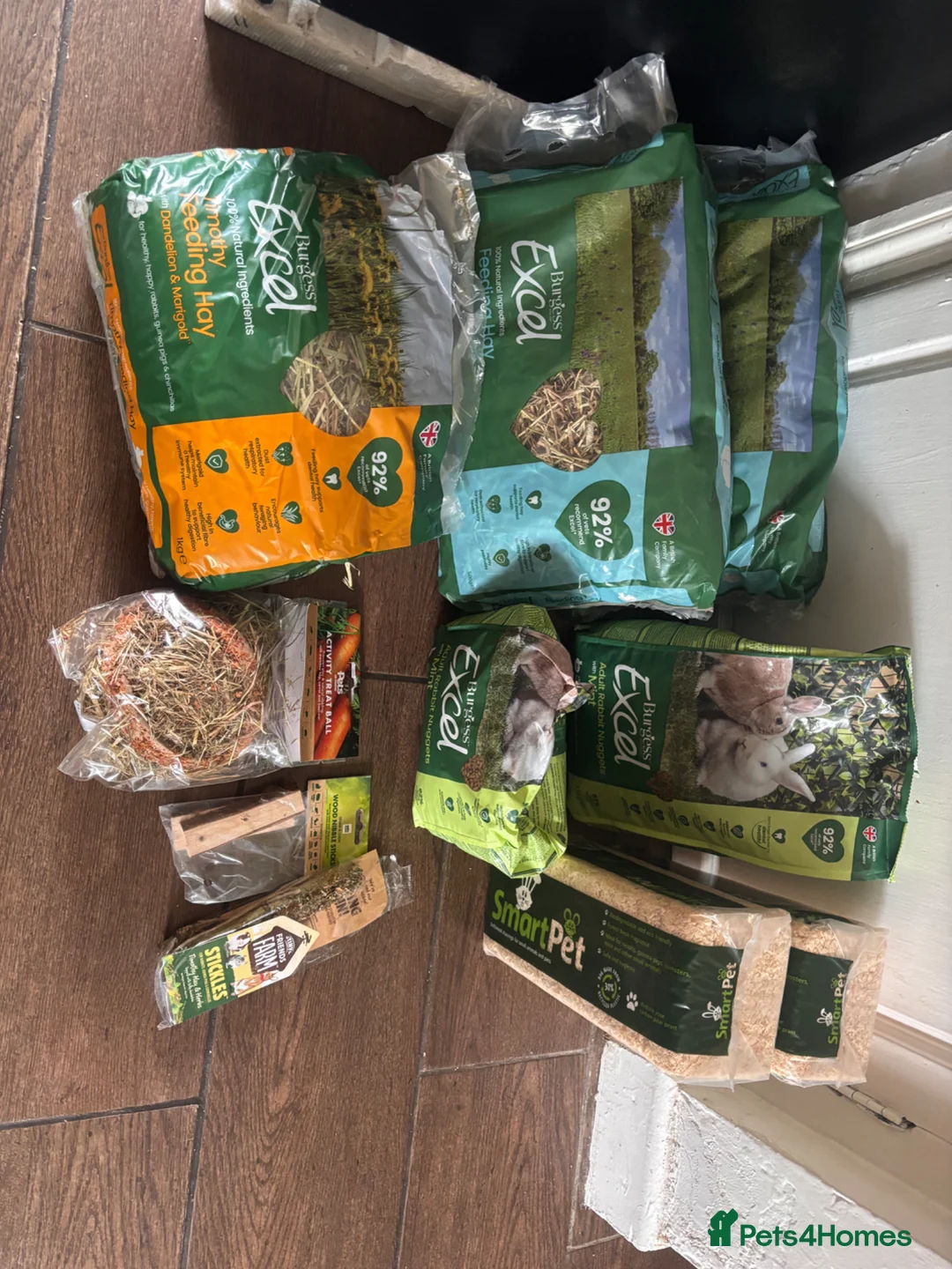 Mini Lop rabbits for sale: Beautiful mini lop male rabbit  - Advert 7
