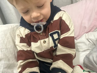 Leopard Gecko reptiles Leopard gecko - Advert 1