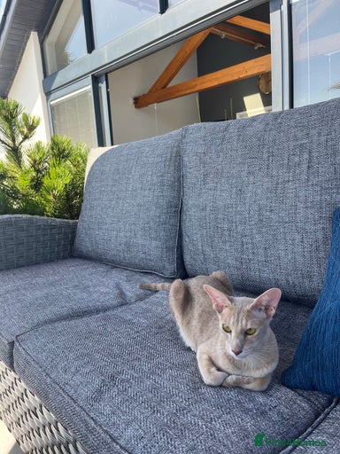 Gallery Image {{count}}