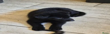 Onyx crystal 