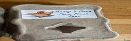 Chickens poultry for sale: Hatching eggs - Advert 2