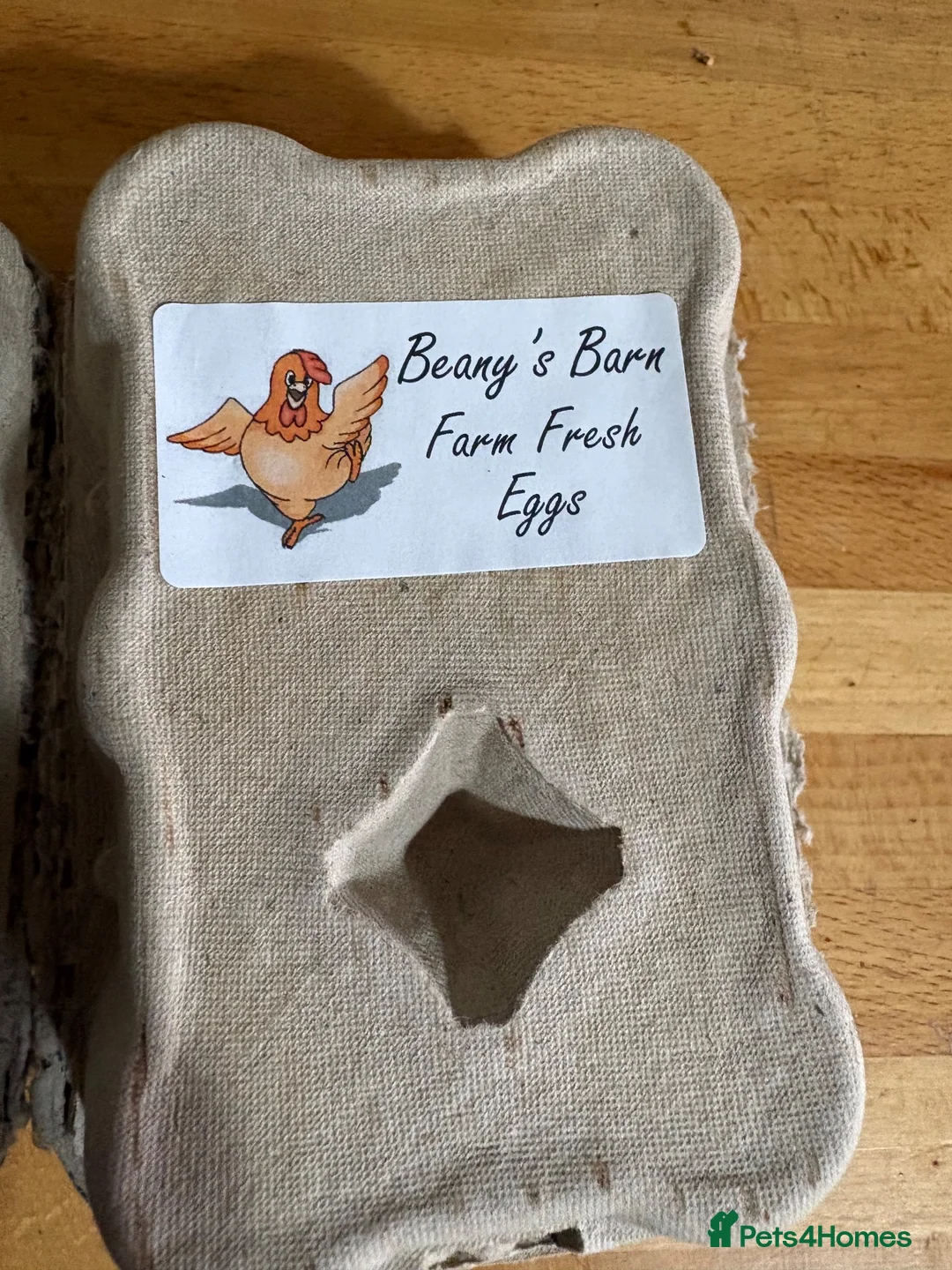 Chickens poultry for sale: Hatching eggs - Advert 2