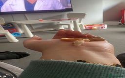 Corn Snake reptiles for sale: Butter motley Corn snake - Image 3