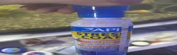 Tetras fish for sale: Fish and tank for sale  in Dover - Advert 5