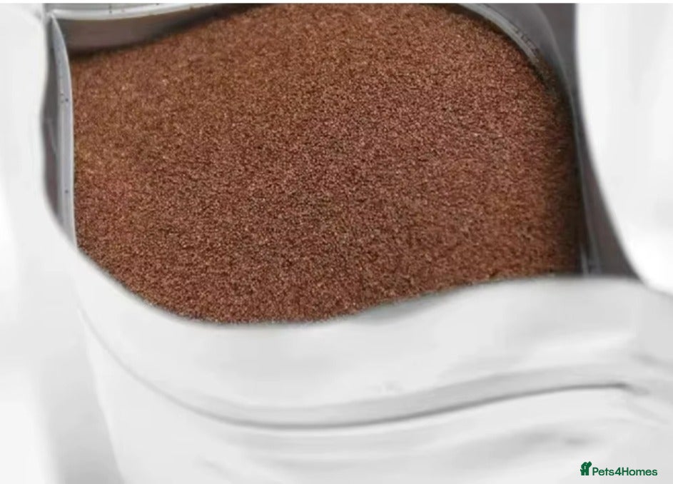 Bettas fish 425 gr Artemia Cysts Brine Shrimp Egg  - Advert 3