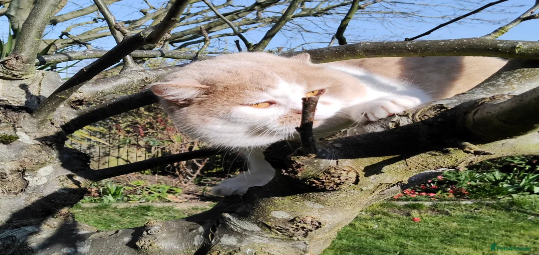 Gallery Image {{count}}