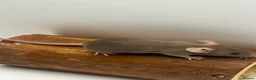 Mouse rodents for sale: Female fancy mice - ready for new homes - Advert 3