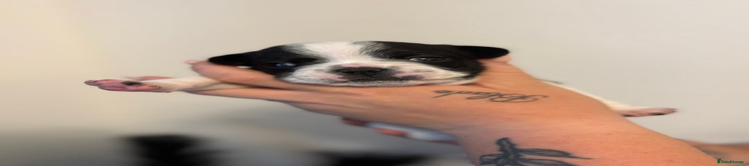 Maui🩵