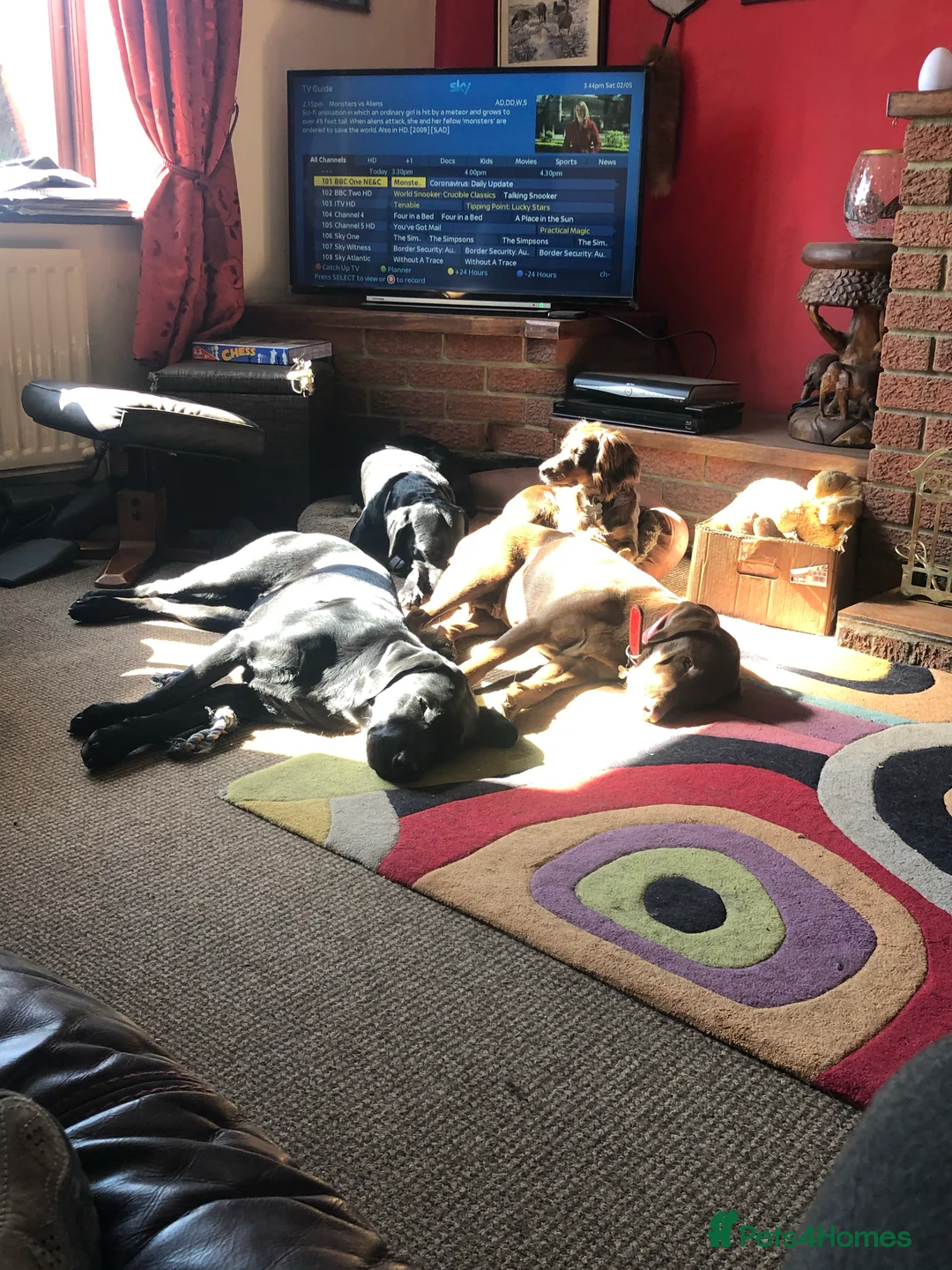 Gallery Image {{count}}