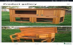 Guinea Pig rodents for sale: 2 friendly guinepigs and outdoor hutch  - Image 4