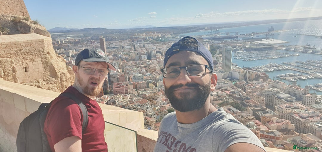 Gallery Image {{count}}