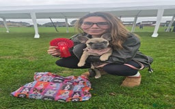 French Bulldog dogs for sale: One adorable female 🩷 French Bulldog Puppy  - Image 29