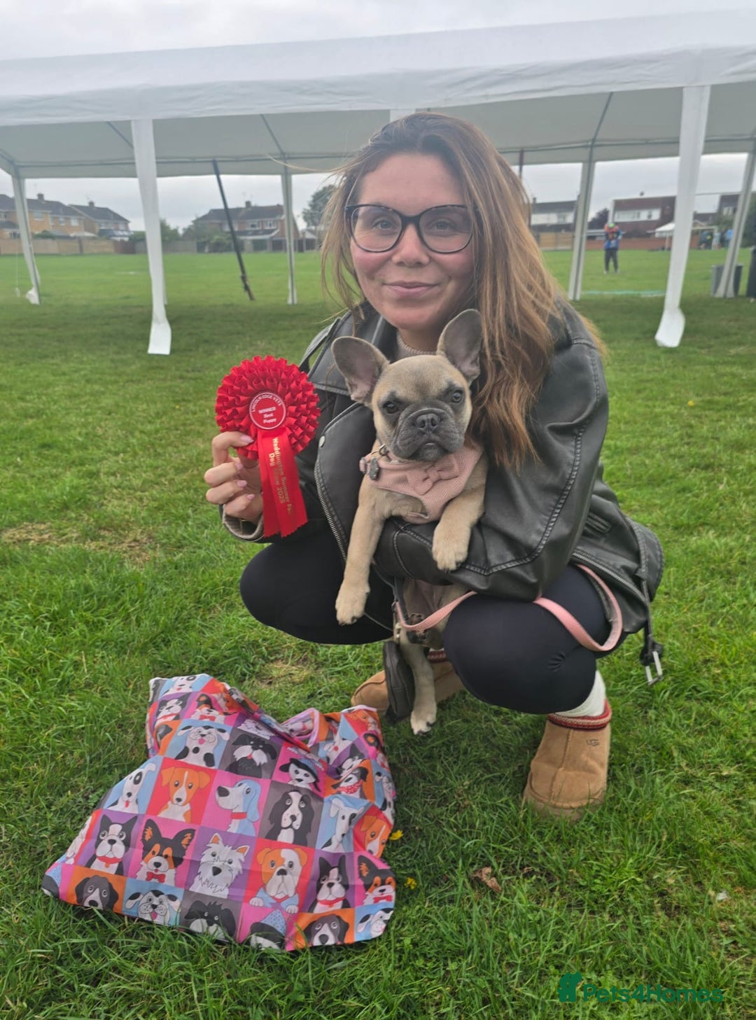 French Bulldog dogs for sale: One adorable female 🩷 French Bulldog Puppy  - Image 29