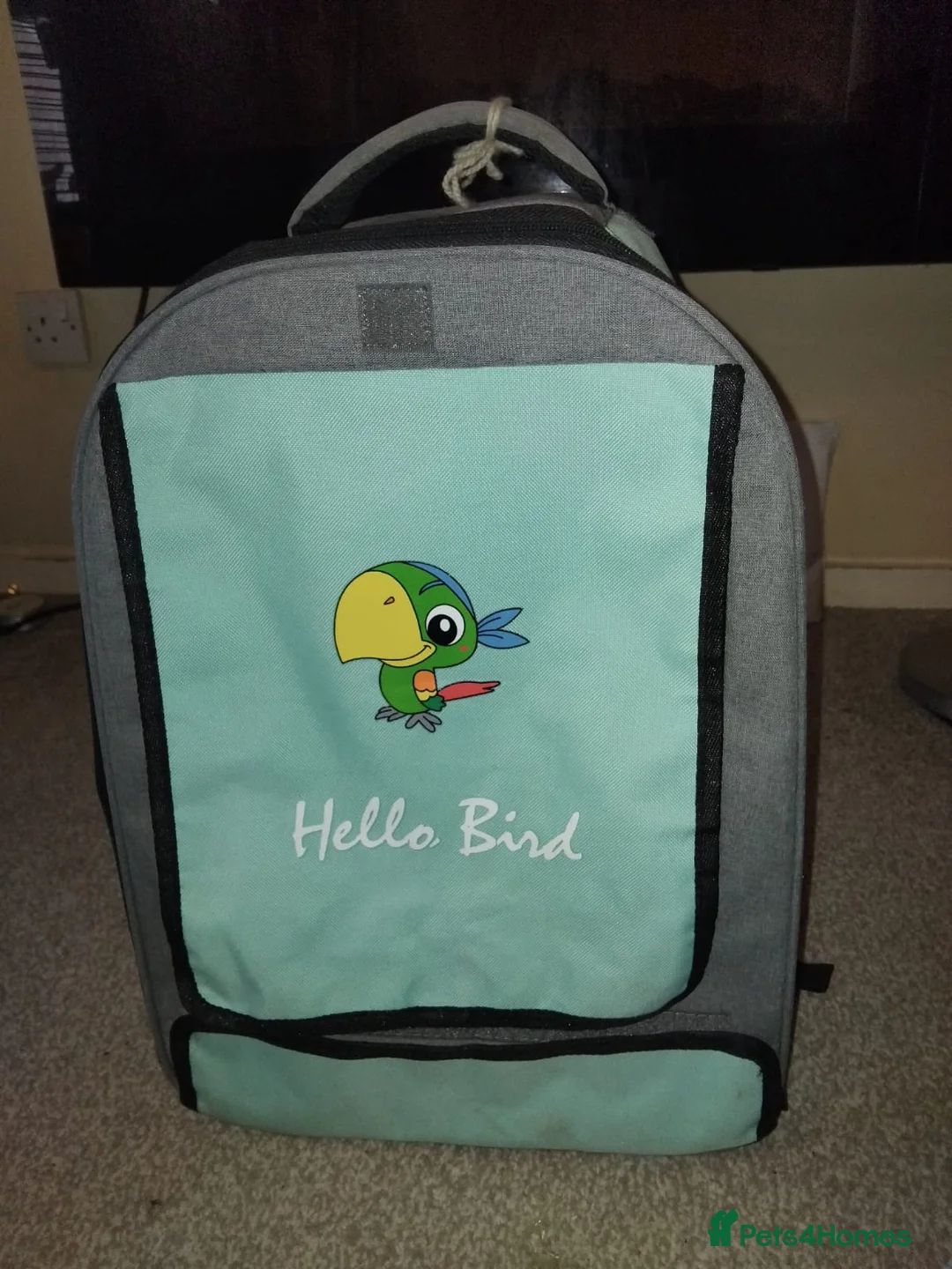 Parrots birds for sale: 2 years, 11 months old male Alexandrine parrot  - Advert 3