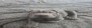 Grey/blue Boy