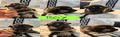 Green boy