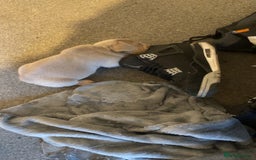 French Bulldog dogs for sale: QUALITY FRENCH BULLDOGS  - Image 13