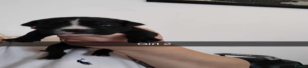 Girl 2 