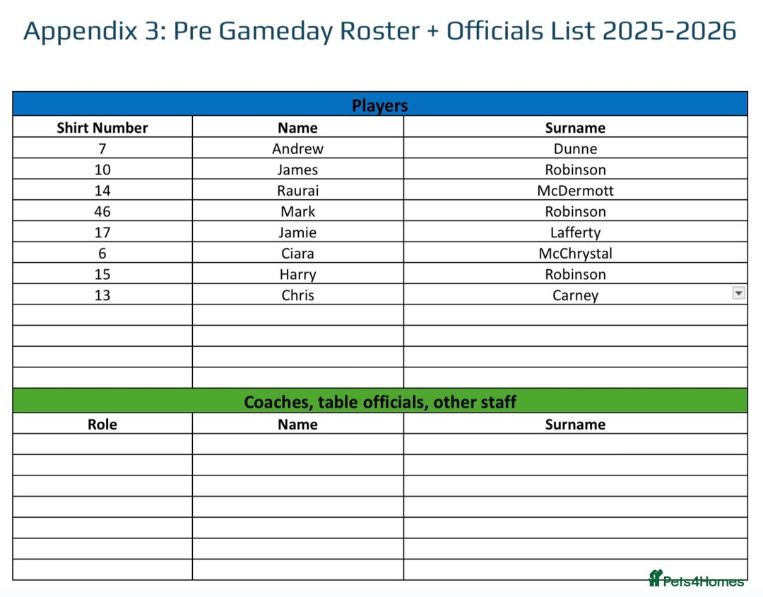 Border Collie dogs for sale: Two collie pups  - Image 2