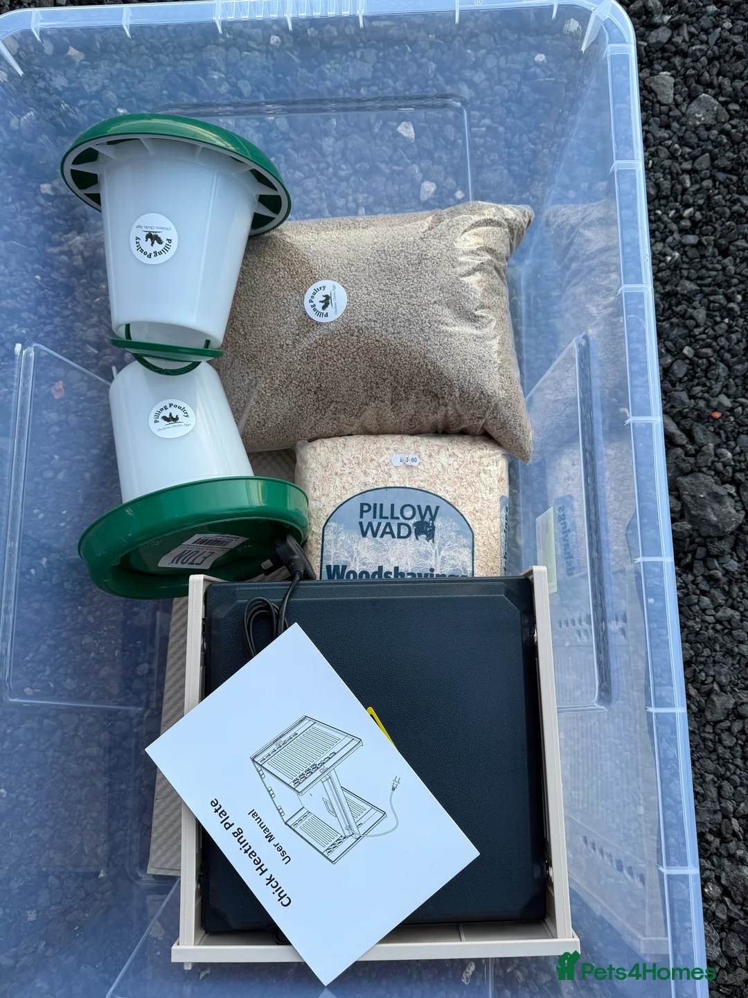 Mixed Breed poultry for sale: Chick Rearing Kit - Advert 8