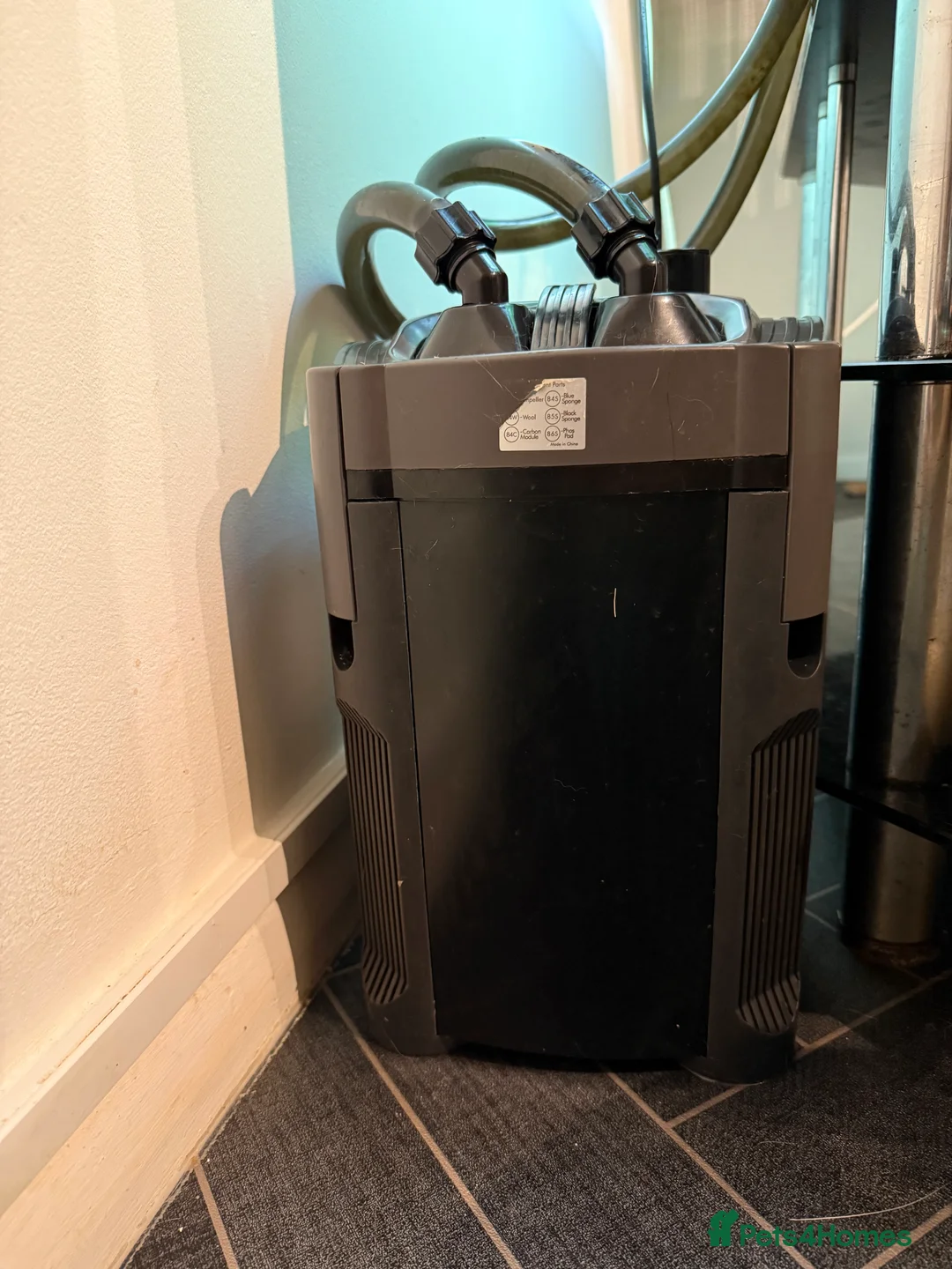 Mollies fish for sale: Tropical Fish Tank 160 litters - Advert 10