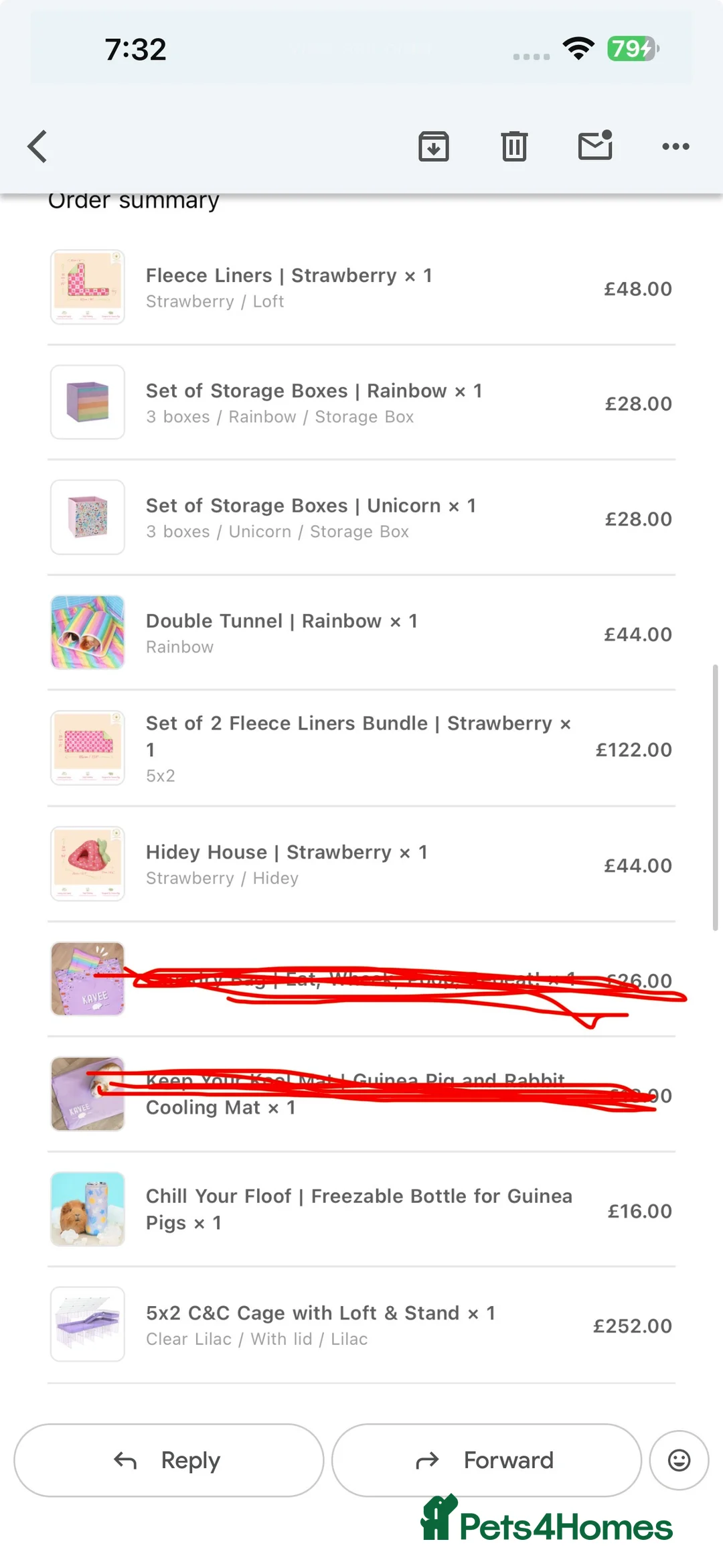 Guinea Pig rodents for sale: 2 female guinea pigs in Stockton-on-Tees - Advert 2