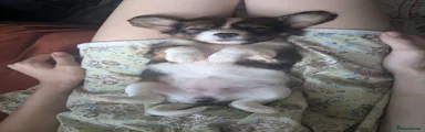 Mixed Breed 4