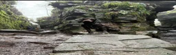 Cocker Spaniel dogs for stud: Working cocker spaniel for stud  in Chesterfield - Advert 4