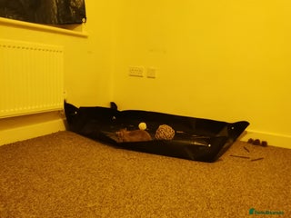 Netherland Dwarf rabbits Unique, Rare Red Fox Rabbit for sale - Advert 1