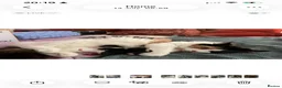 Mixed Breed cats for sale: Beautiful Kittens Seeking Loving Forever Homes  - Advert 19