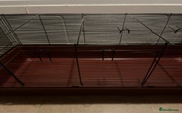 Hamster rodents for sale: Alaska hamster cage  - Image 3