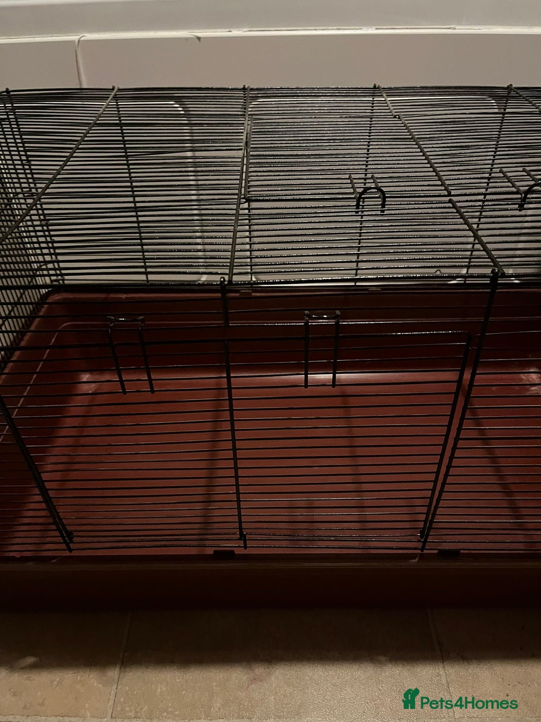 Hamster rodents for sale: Alaska hamster cage  - Image 3