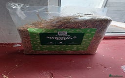 Lionhead rabbits for sale: 2 cute lionhead rabbits come with cage and food - Image 4