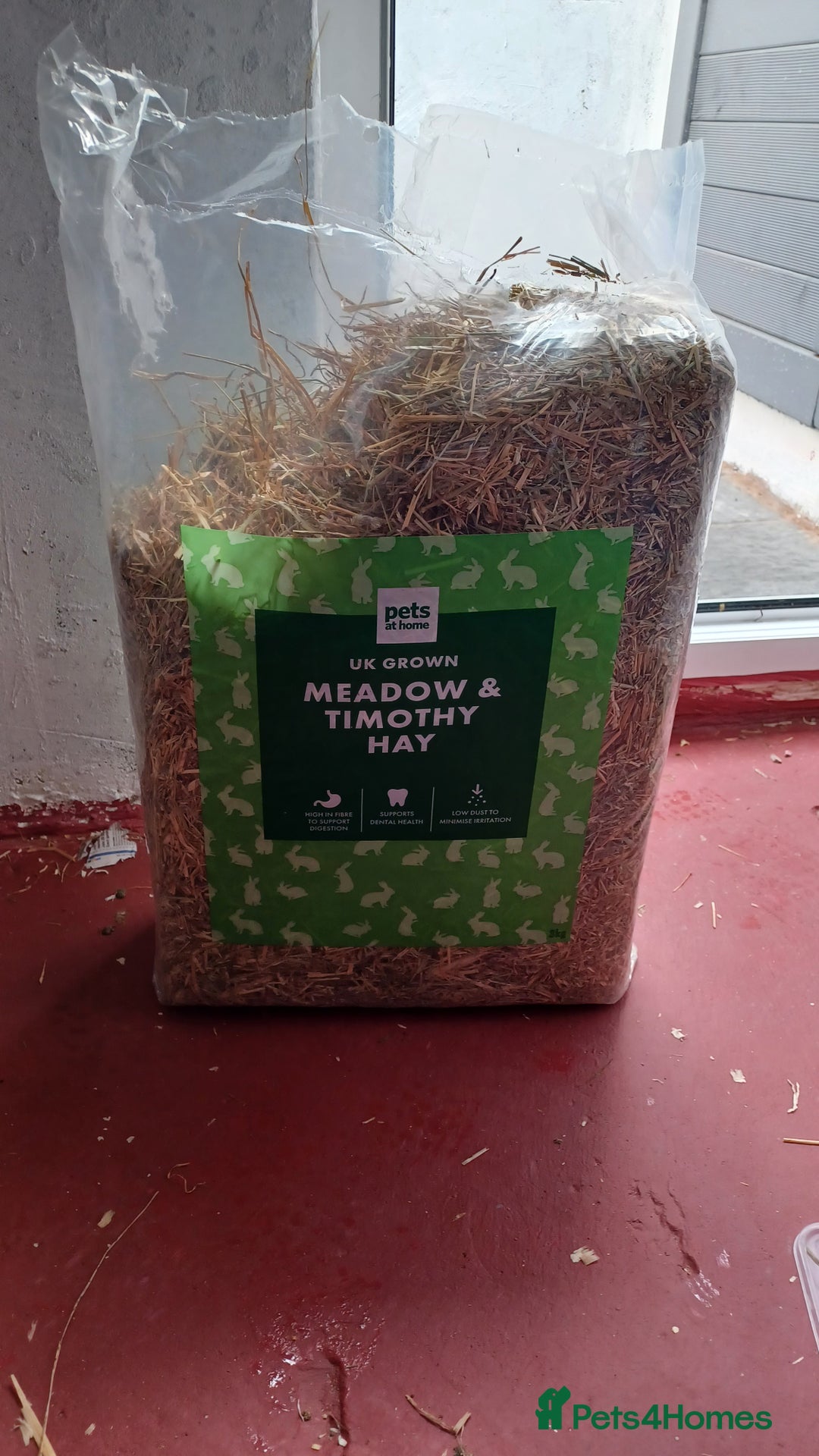 Lionhead rabbits for sale: 2 cute lionhead rabbits come with cage and food - Image 4