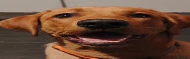 Fella 
