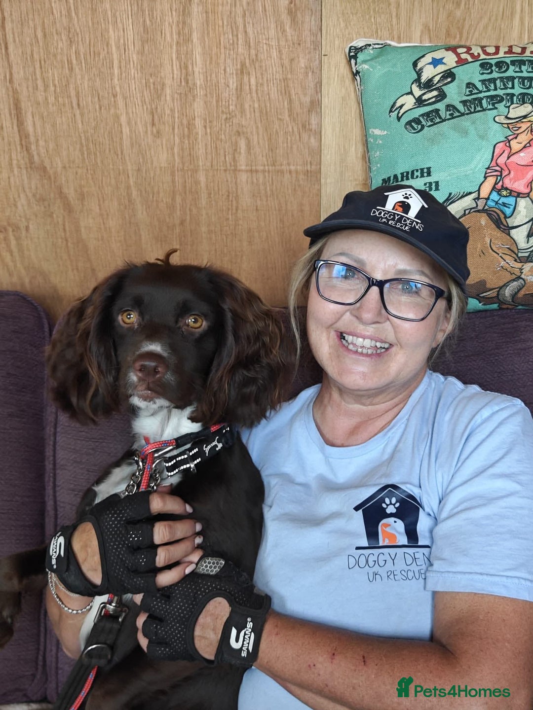 Cocker Spaniel dogs for adoption: Esme  - Image 9
