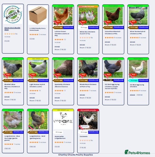 Hens poultry Point of lay Chickens for sale - Advert 9