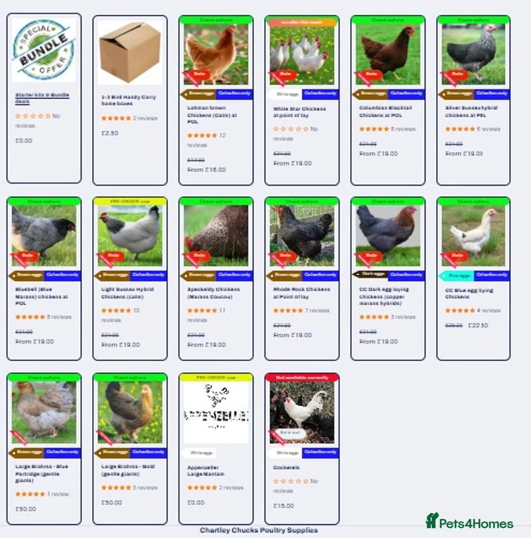 Hens poultry for sale: Point of lay Chickens for sale - Advert 1