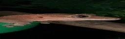 Frog reptiles for sale: Reptiles - Advert 5