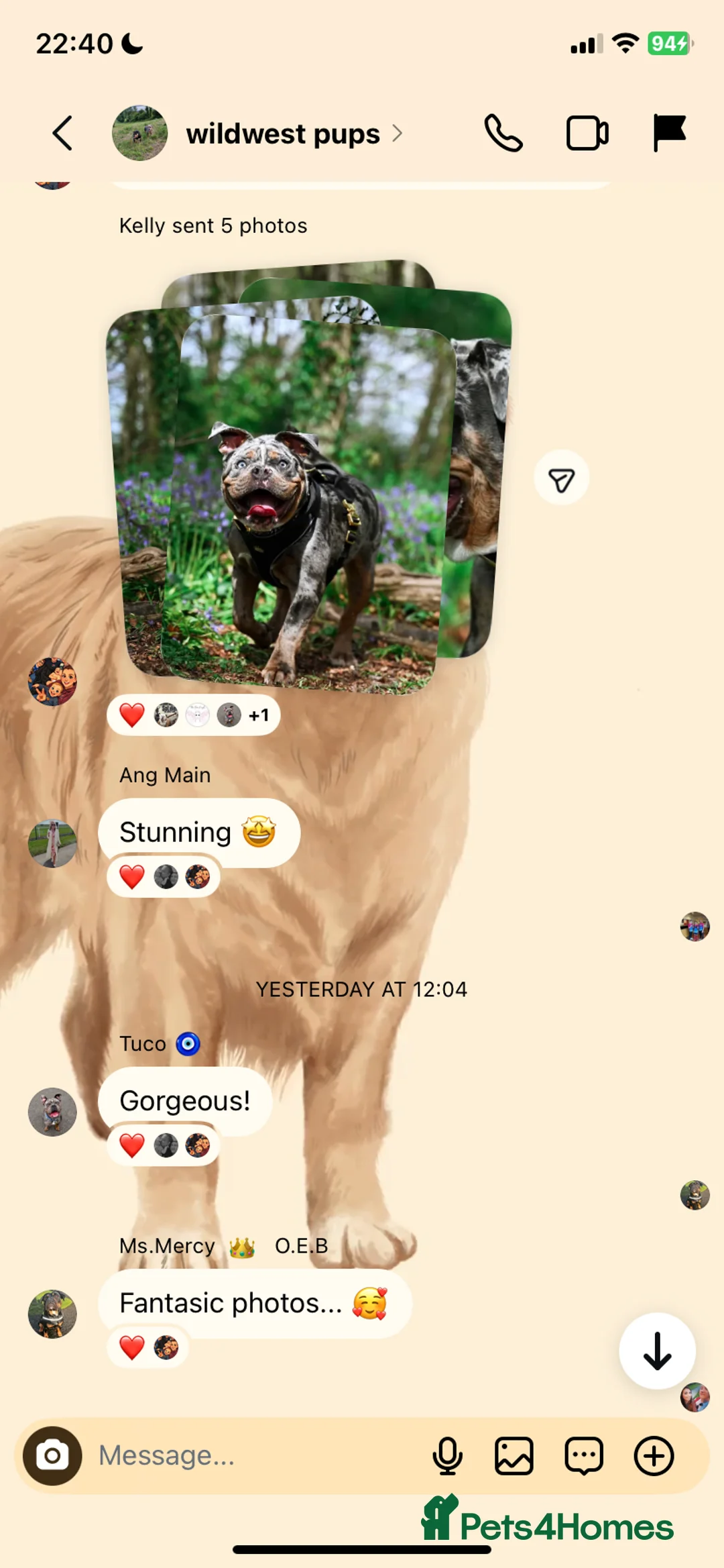 Gallery Image {{count}}