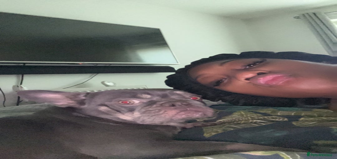 Gallery Image {{count}}