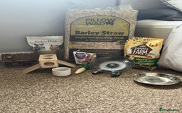 Hamster rodents for sale: Syrian Hamster & complete setup - Image 2
