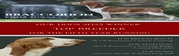 Bracco Italiano dogs for sale: Top Breeder 2021,22,22,24 & 2025 🌟🌟🌟🌟🌟 - Advert 6
