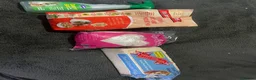 Mouse rodents for sale: 2 female mice  in Birmingham - Advert 14