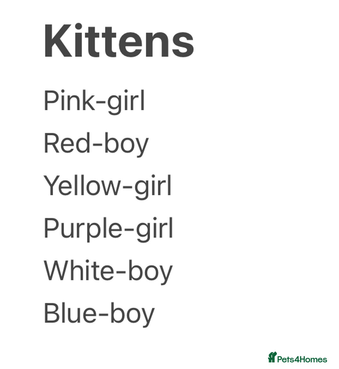 Mixed Breed cats for sale: Beautiful friendly litter of 6 tuxedo kittens - Advert 2