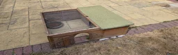 Hermann Tortoise reptiles for sale: Established Pair of Hermanns Tortoises Ruby&George in Derby - Advert 8