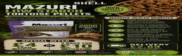 Tortoise reptiles for sale: BABY HORSFIELDS & SET UPS! - Advert 6