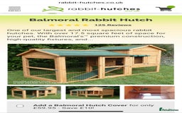 Mini Lop rabbits for sale: PLEASE READ 🐰 male and female (both neutered) in Leicester - Image 16
