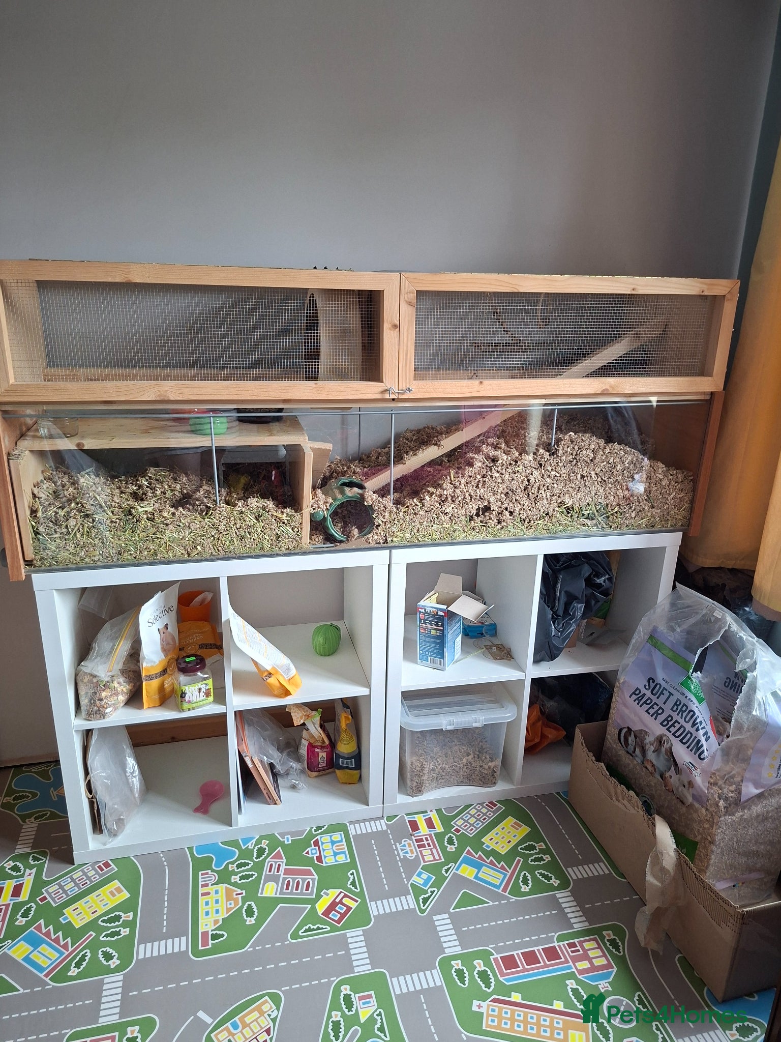 Gerbil rodents 4 Lovely 1yr Gerbil Sisters and Gerbilarium - Advert 1